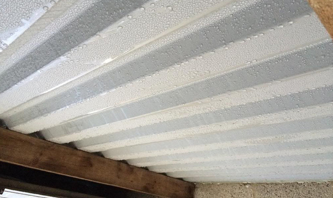 Condensation in Buildings: What It Is, Why It Happens, and How to Prevent It